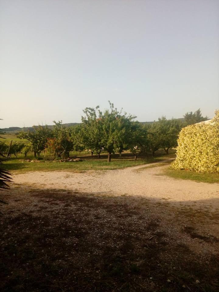 דירות אלגהרו Residenza Agrituristica Santa Lucia Con Piscina מראה חיצוני תמונה