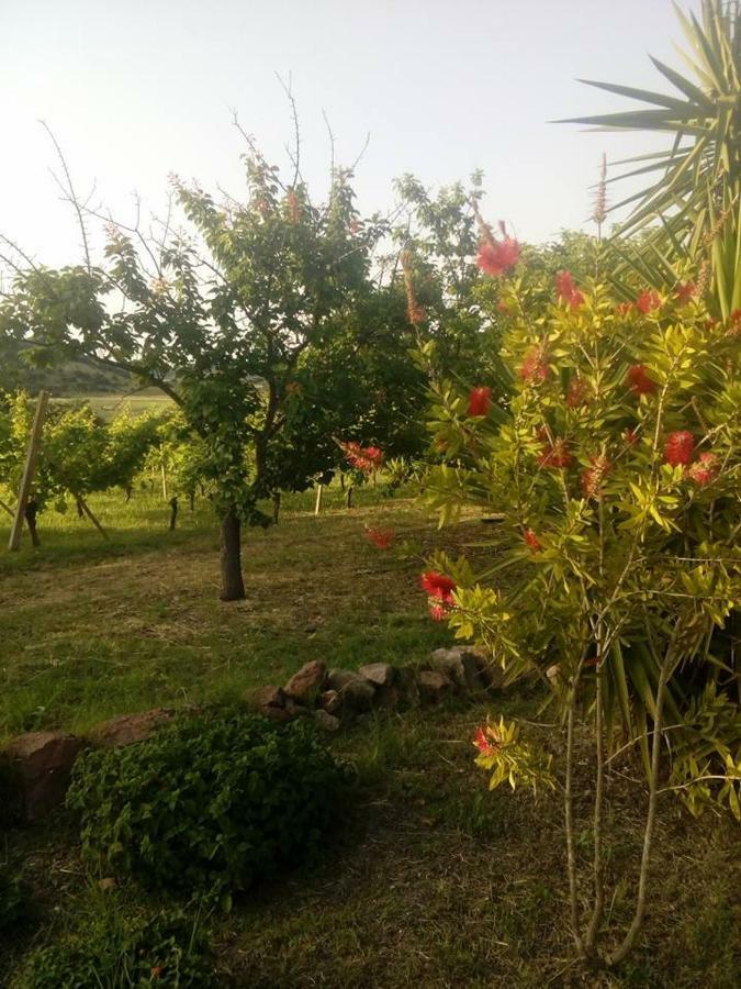דירות אלגהרו Residenza Agrituristica Santa Lucia Con Piscina מראה חיצוני תמונה